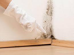 Best Crawl Space Mold Remediation  in Ahwahnee, CA